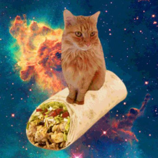 Image of cat sitting on a burrito against background of outer s
pace.